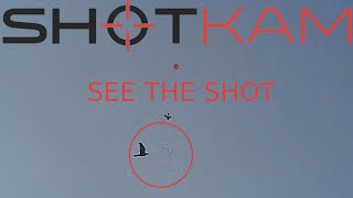 Shotkam 2018 - Wood Pigeon Hunting - Long Range Shooting With Patternmaster - Витютень Охота