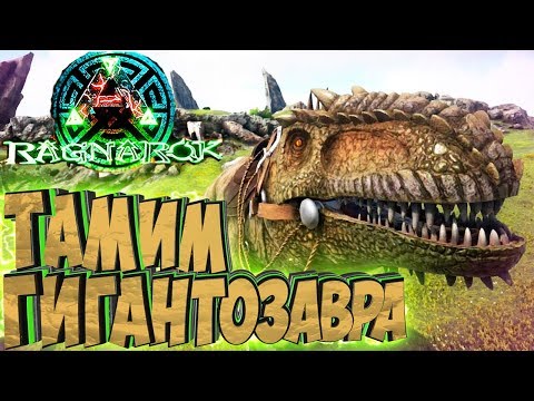 Видео: ПРИРУЧАЕМ ГИГАНТОЗАВРА, АЛОЗАВРА И ЭКВУСА - ARK Survival Evolved Выживание на Ragnarok #19