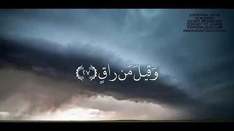 قرآن كريم بصوت ادريس ابكر||سوره القيامه 💕😍حالات واتس اب|مقاطع انستجرام❤