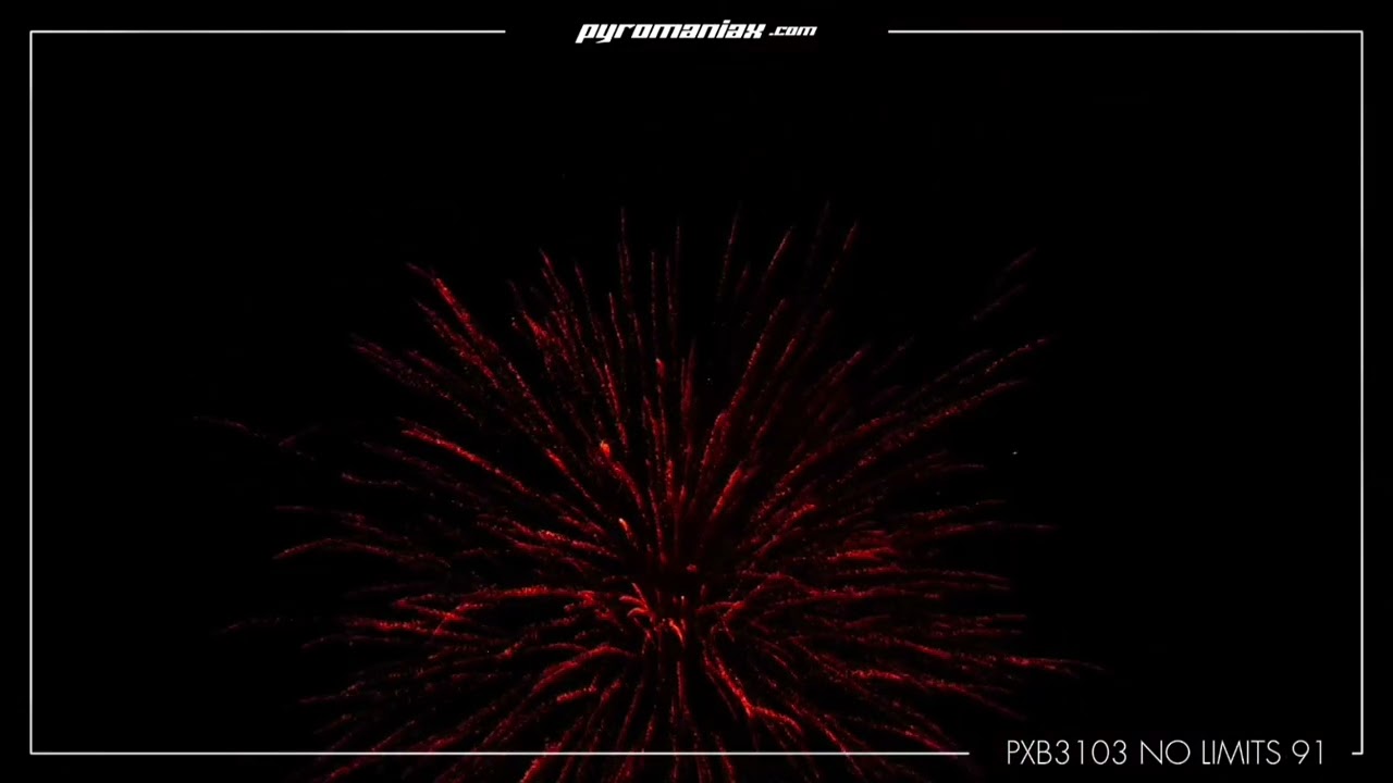 オススメ✨Microsorum sp 'Fireworks' ミクロソリウム 黄 超