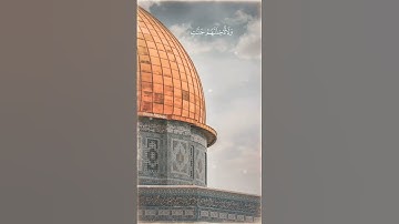 فالذين هاجروا وأخرجوا من ديارهم | آيات من سورة آل عمران للقارئ ياسر الدوسري #قرآن #story #trending