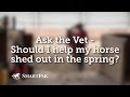 Ask the Vet - Should I help my horse shed out in the spring? Ask the Vet - Should I help my horse shed out in the spring?