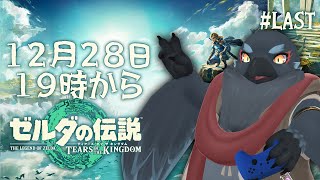 いざハイラル城：気ままにティアキン配信 ＃１１　【ゼルダの伝説 ティアーズオブザキングダム】