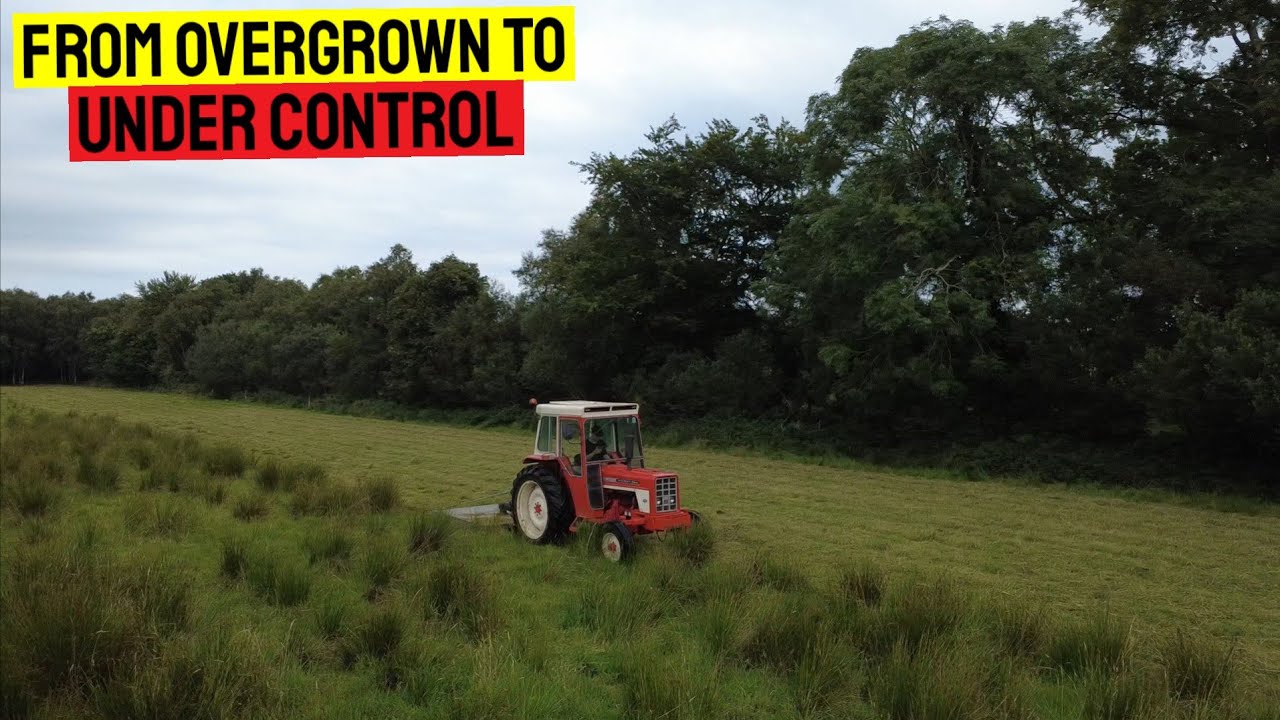 TAMING THE WILD FIELD | TOPPING 2025