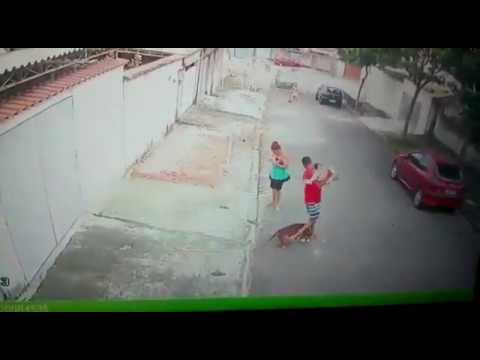 Vídeo mostra homem salvando garoto de ataque de pitbull no Rio de Janeiro