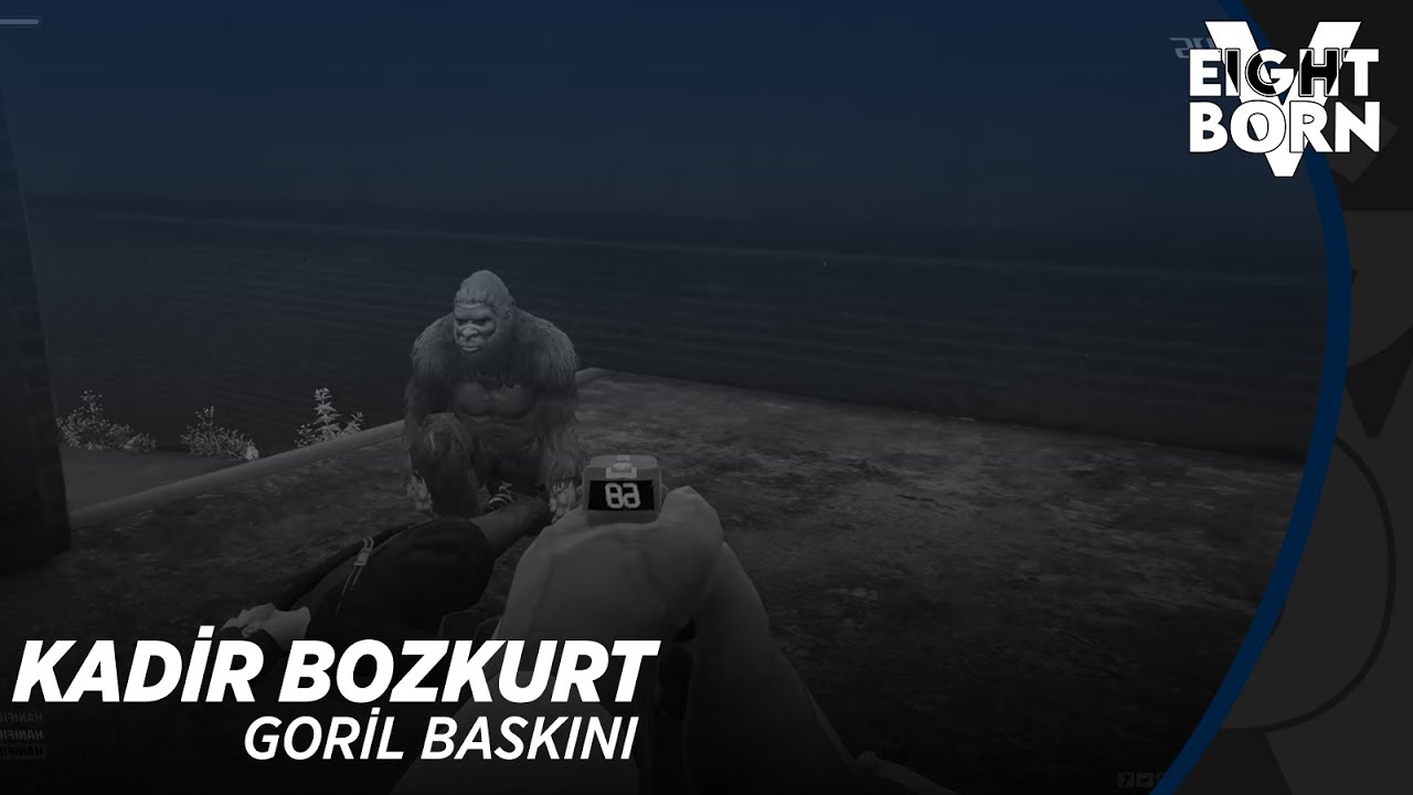 EightbornV | Kadir Bozkurt | Goril Baskını | Yayından Kesitler