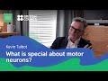 Motor neurons  kevin talbot  serious science