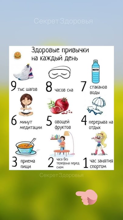 Здоровые привычки на каждый день - YouTube