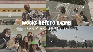 never have I ever actually enjoyed school | IB week in my life | 인도 국제학교 1주일 일상 브이로그