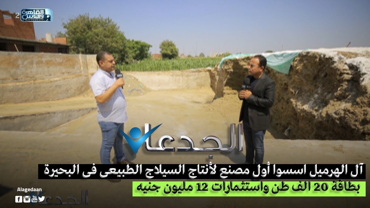 آل الهرميل اسسوا أول مصنع لأنتاج السيلاج الطبيعى فى البحيرة بطاقة 20 الف طن واستثمارات 12 مليون جنيه