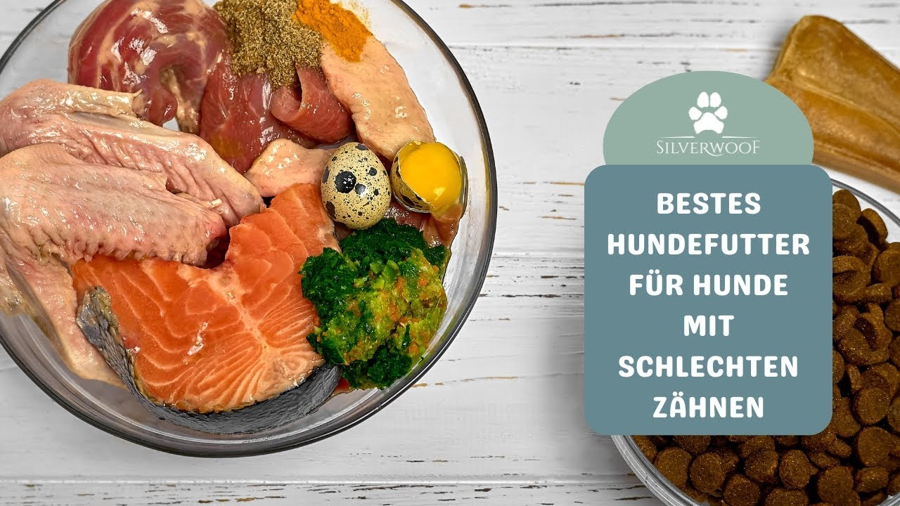 Schecker Kälberblasen Für Hunde - Groß, Fettarm & Super Sauber - Perfekt Bei Zahnproblemen