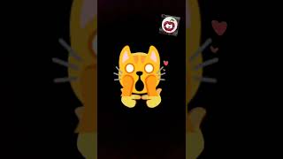 non stop to start this i sprind bed cover my love for you here now you see me to the other server d