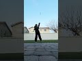 Taking high flyballs