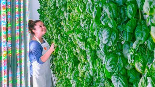 The future of indoor, vertical farm technology - Compilation