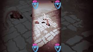 #wolf sounds ghost video viral #ytshortsindia monster 💀💀👻👿👻👻👻👻👻💀💀💀👿