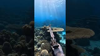 Spearing a Rabbitfish at Shallow Coral Reef — DEEP STRIKE AI 🎯