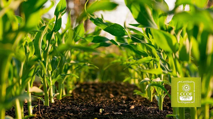 FSMA Produce Safety 101 For Small Organic Farms - Part1 - CCOF Foundation