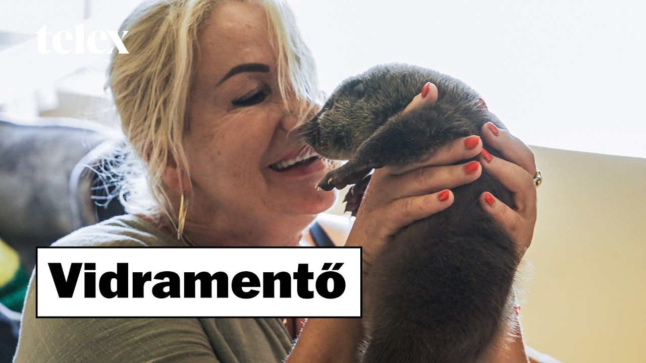 Amikor már mindenkit elveszítettél az életben, de megtalálod a helyet ahol adhatsz