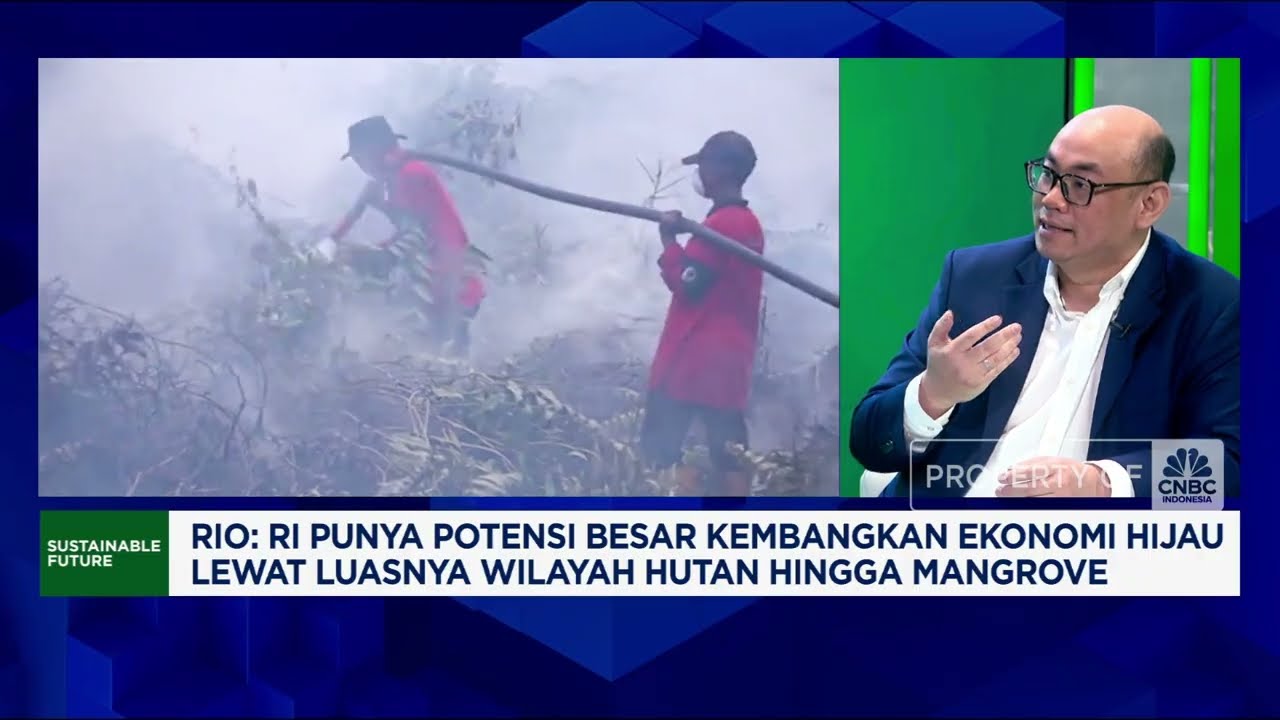 Indonesia Punya "Modal" Besar Kembangkan Ekonomi Hijau, Ini Buktinya!