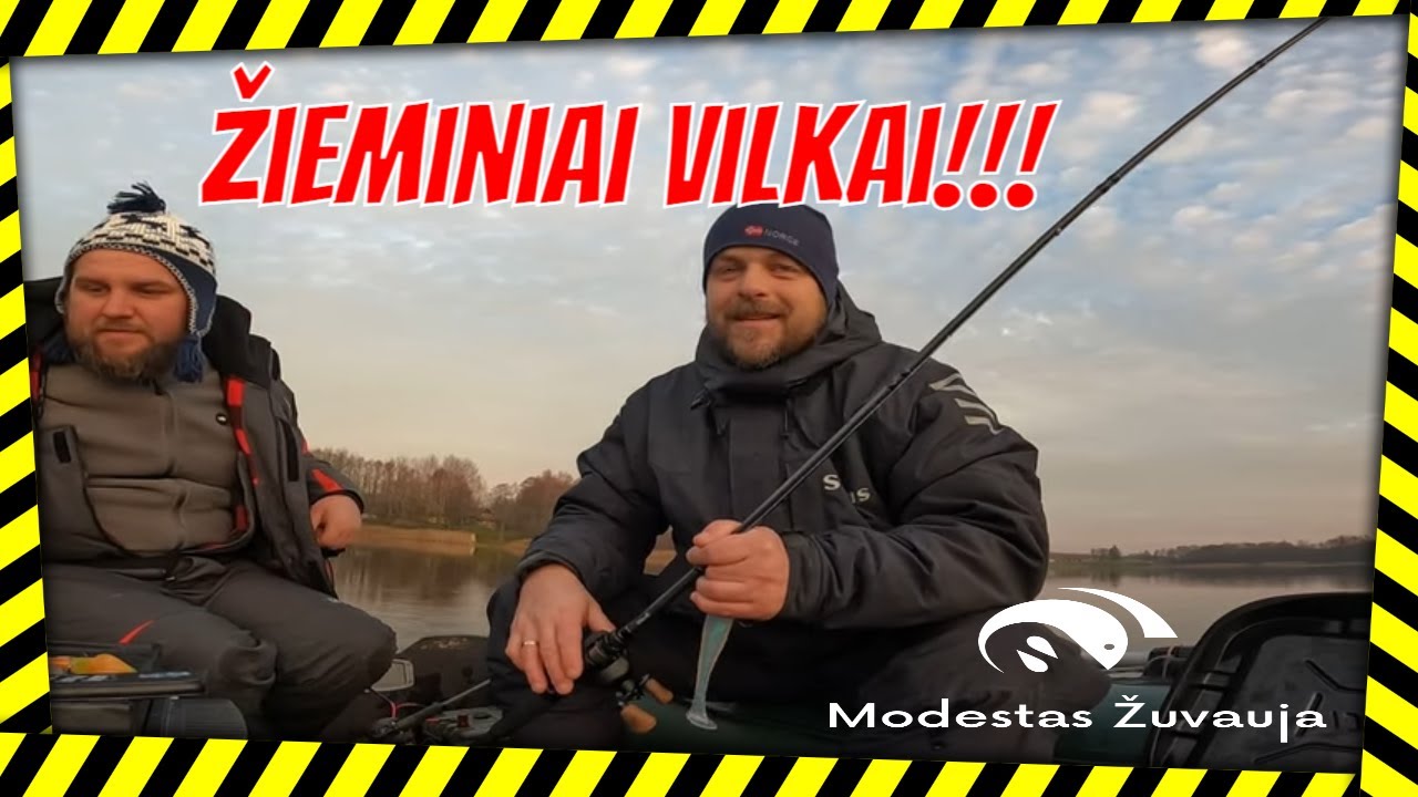 Gylio valdovai: starkių paieška!
