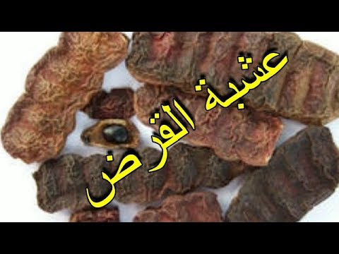 فيديو: ما هو القرض