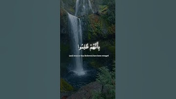 سورة الحج، الآية 39 | #قران_كريم #تلاوات