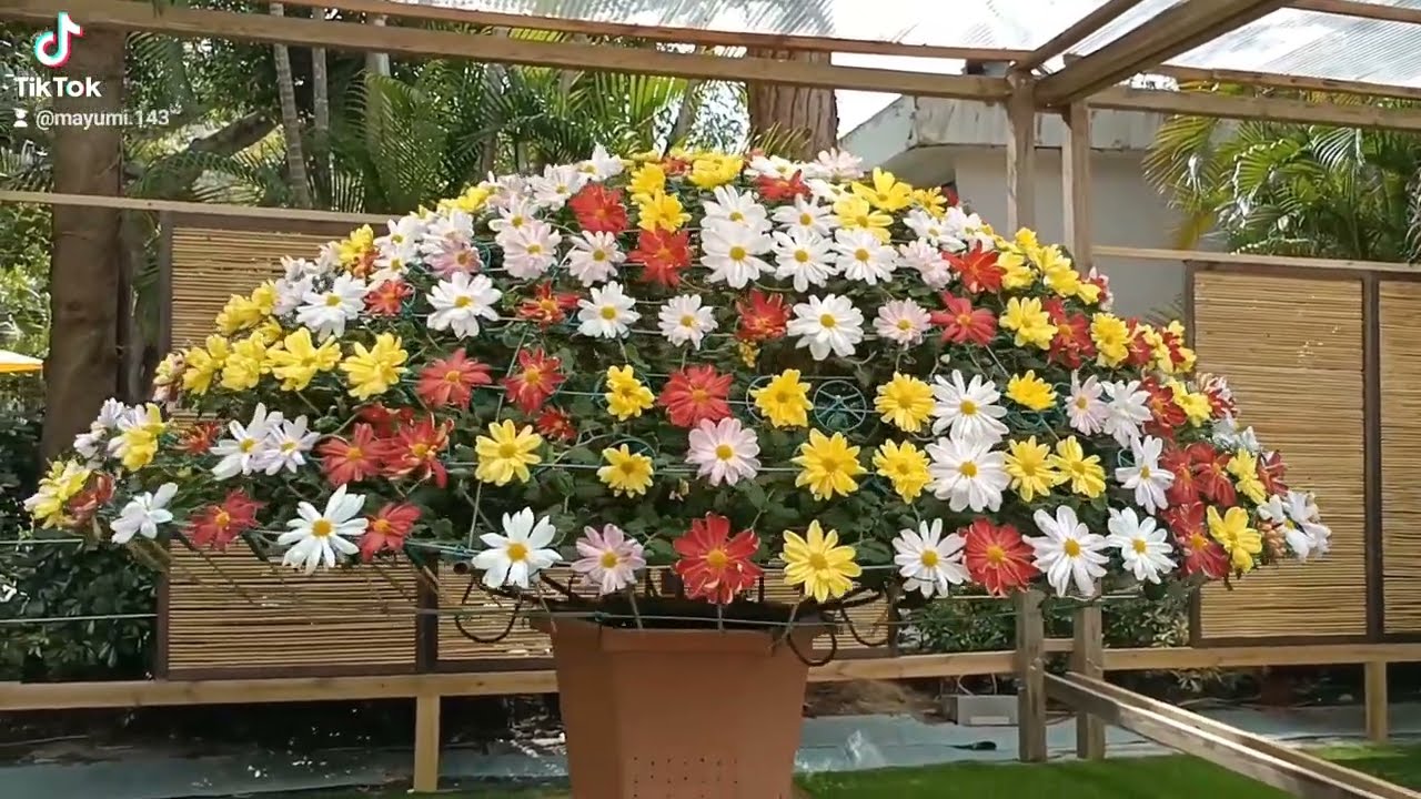 Shilin Residence Park: Fresh Flowers Rotation.