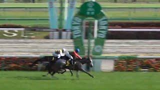 スイートピーステークス　1着コガネノソラ号（石川裕紀人騎手）2024年4月28日（日）東京競馬場