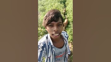 New Timli Status Arjun r meda Rahul bhuriya VK bhuriya Edit Sanjay