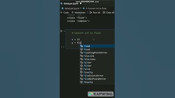Integer to Float ?? 😯😯 #python #shorts
