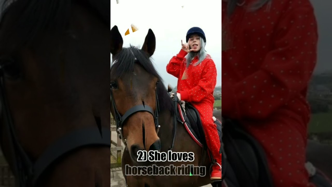 5 Things About ,💚 Billie Eilish 💚 you probably didn't know