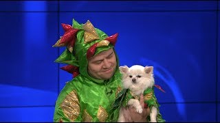 Piff the Magic Dragon & Mr. Piffles Make Magic Happen at KTLA