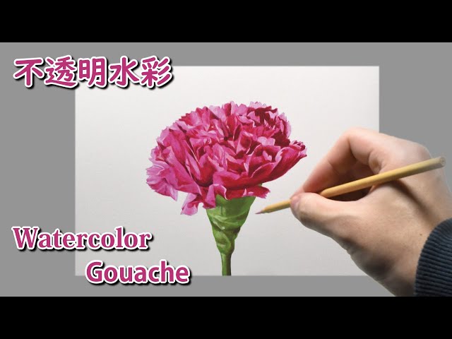 水彩画 ガッシュ] 2時間30分で描くリアルなカーネーションのメイキング