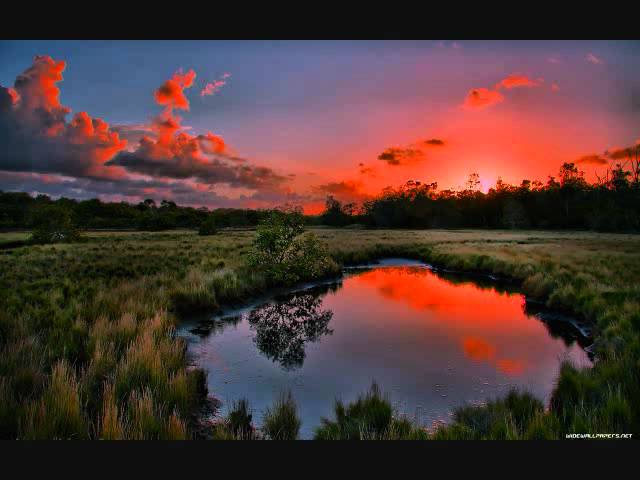 Watch FL Studio Progressive Trance on YouTube Watch FL Studio Progressive Trance on YouTube