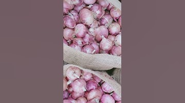 EI : ENVIREV IMPEX having Energy Infinite for IMPort EXPort 🏃‍♂️🎽🏃‍♀️