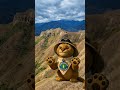 Roy  #mandango #mountain