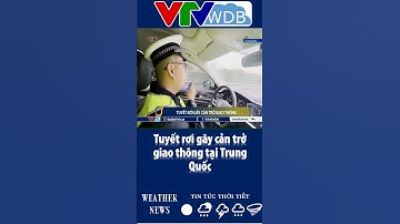 Tuyết rơi gây cản trở giao thông tại Trung Quốc | VTVWDB