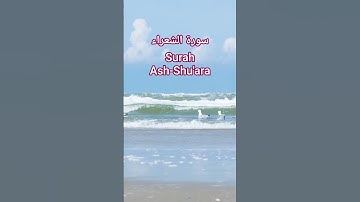سورة الشعراء | قرٱن كريم #المصحف #الشيخ #اكسبلور #راحة_نفسية