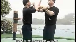 Wing chun-Чжан Бао (обучение вин чун) Wing chun-Чжан Бао (обучение вин чун)