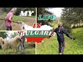 MY LIFE IN BULGARIA!! [LIVING MY BEST VILLAGE LIFE]