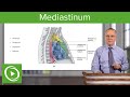 Mediastinum: Lungs, mediastinum and cardiac valves – Anatomy | Lecturio