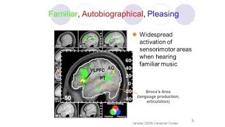 Music Memory and the Brain
