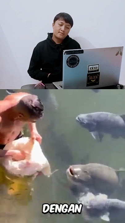 Semua ikan mencintai pria ini #shorts #short #reaksi #videoreaksi #tiktokreaction #videoreaction