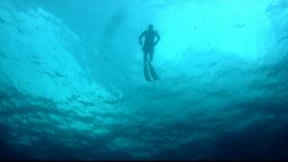 Freediving Spearfishing - 19Lb Mutton, Amberjack, Cobia, King Mackerel