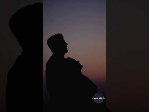 وائل كفوري حلو الحب