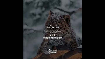 This is the creation of Allah | Surah Luqman سورة لقمان | Verse 11