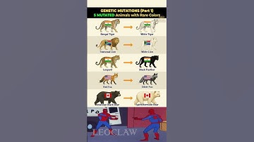 5 Mutated Animals with Rare Colors 🧬 | Genetic Mutations (Part 1) | #animals  #shorts  #wildlife