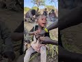 The daily life and diet of the Hazarbi tribe