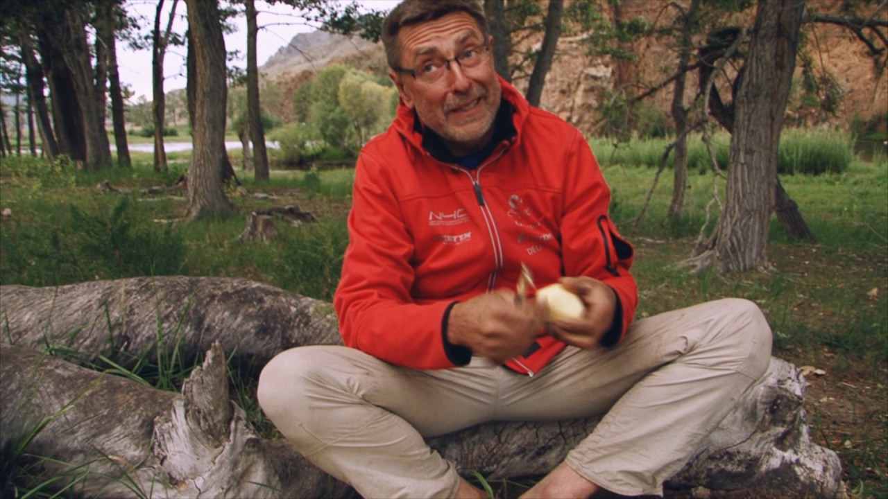 Dokumentinis filmas Vejo pedsakais 25FS