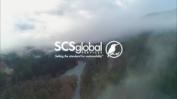 We are SCS Global Services